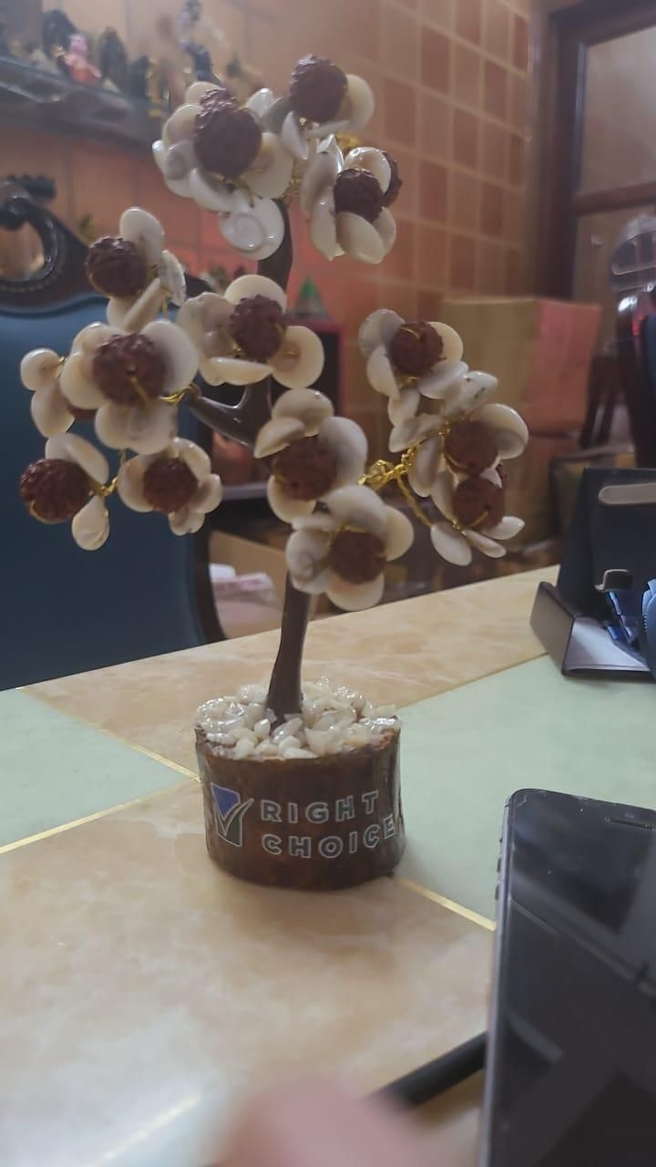 Gomti Chakra and Rudraksha Floral Design Stone Tree